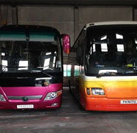 Bus Transport Services